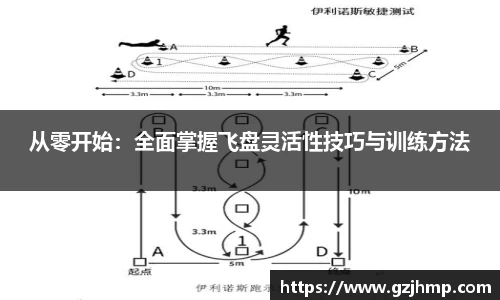 从零开始：全面掌握飞盘灵活性技巧与训练方法